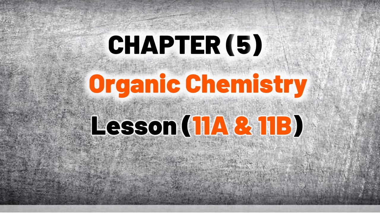 Lesson (11)
